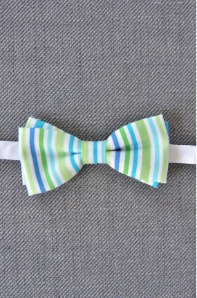 Παπιγιόν Striped in Colors