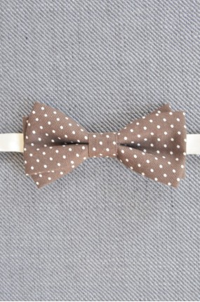 Παπιγιόν Pois in Brown